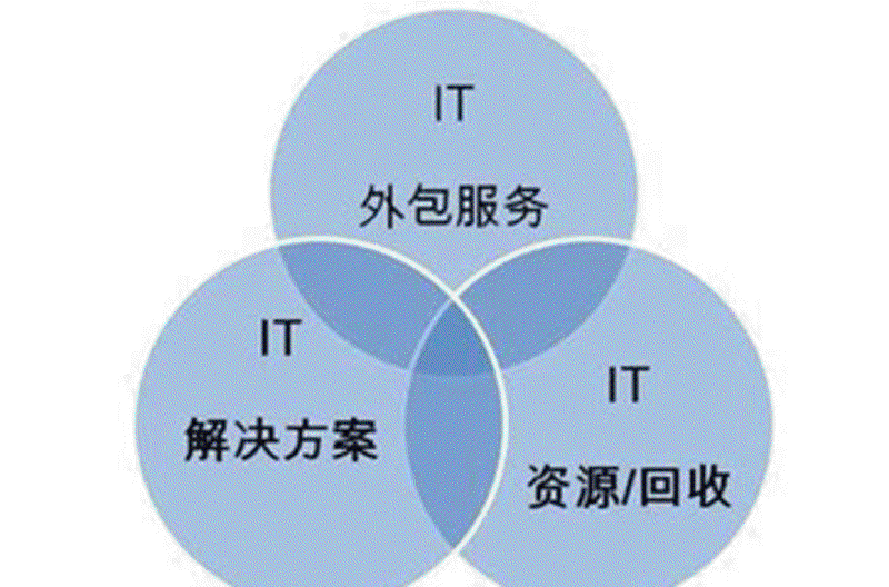 上海软件开发行业动态：新兴力量崛起